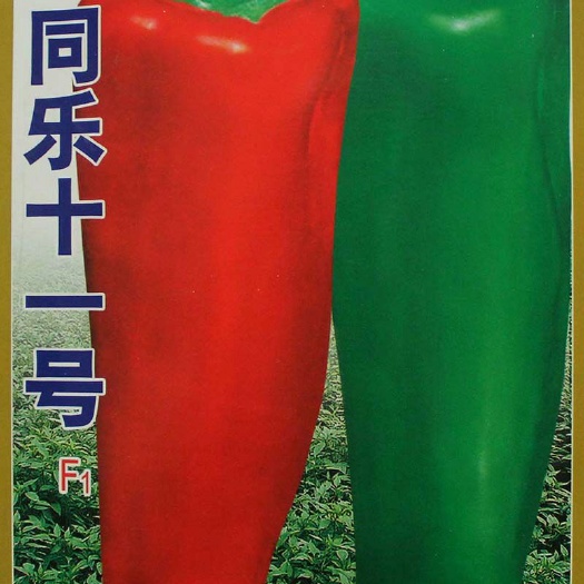 辣椒种子  同乐十一牛角椒种子