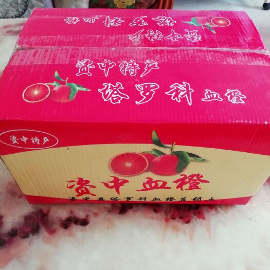 资中县塔罗科血橙 65 - 70mm