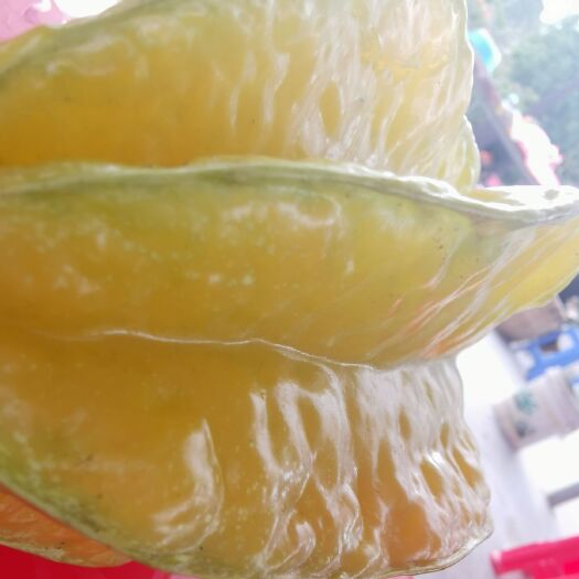 化州市香蜜杨桃 5 - 6两 