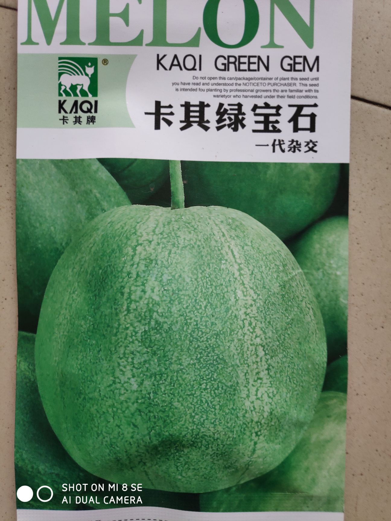 沭阳县绿宝石二号甜瓜种子  绿宝石甜瓜种子 杂交种 ≥85%