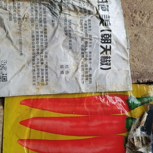 百色望天猴辣椒 5~10cm 特辣 红色 