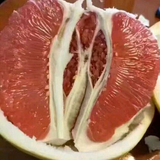 平邑县红心柚苗 