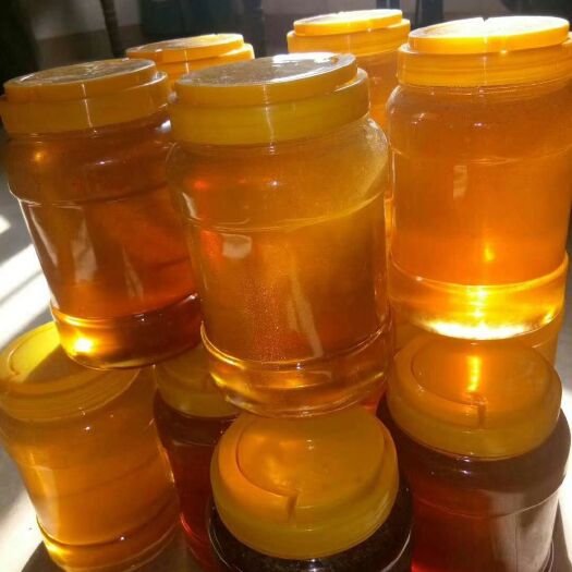 仙游县土蜂蜜 塑料瓶装 2年  