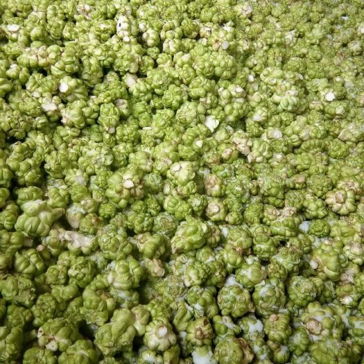 重庆市青菜头  生态青菜头