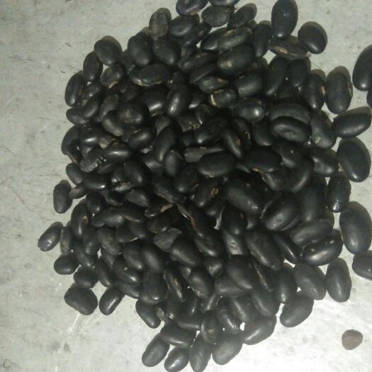 朔州黄仁黑豆 