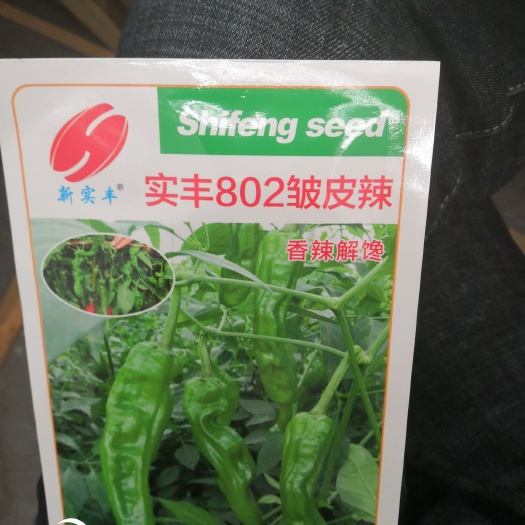 临沂薄皮辣椒种子 皱皮，香辣，