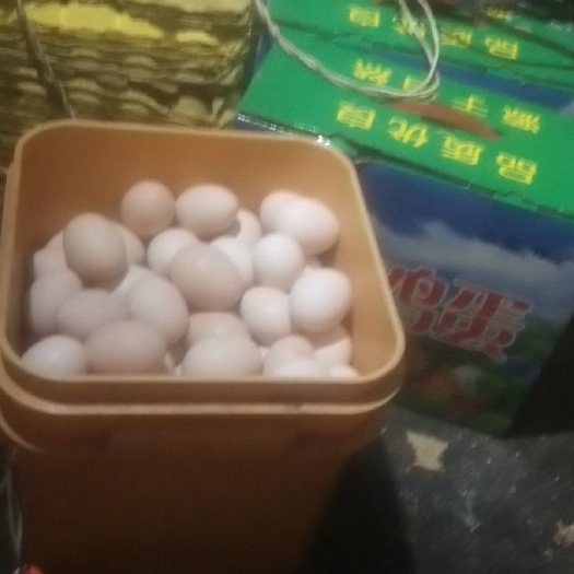 唐县柴鸡蛋 食用 礼盒装 
