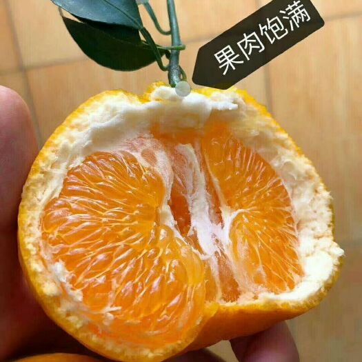 蒲江县耙耙柑 ＞8cm 3两以上 