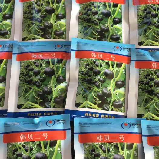 寿光市 最抗病毒的、产量最高的贝贝南瓜种子