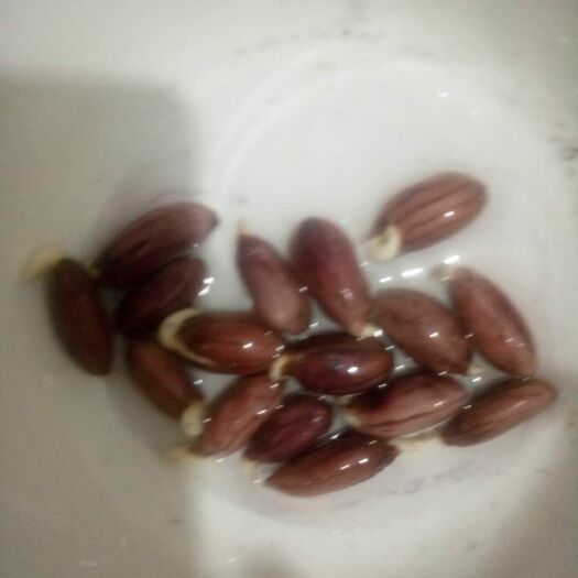 荆州富硒黑花生 花生米 干货 