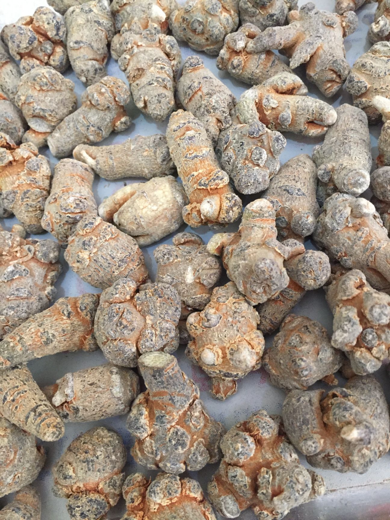 文三七  足60头三七  可磨粉