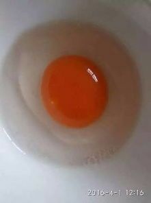 天津土鸡蛋 食用 箱装 