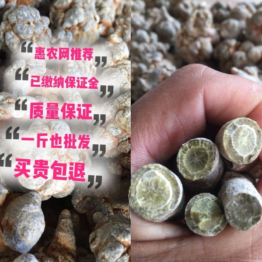 文山市文三七  足30头文山三七   产地直供  可磨粉