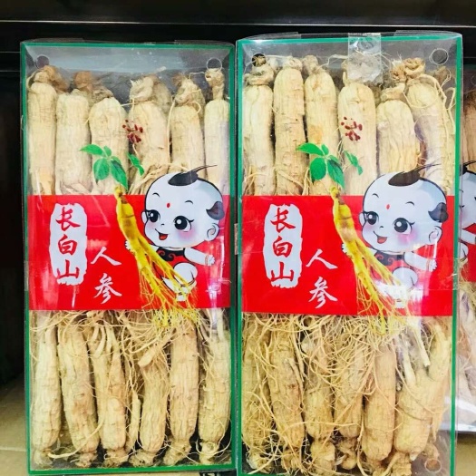 长白山人参  中药材