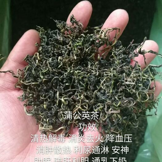 乐陵市蒲公英茶 特级 袋装 