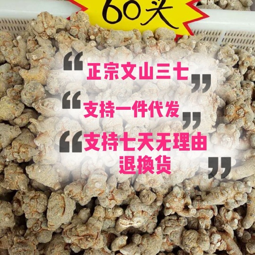 文山市文三七  足60头三七  可磨粉
