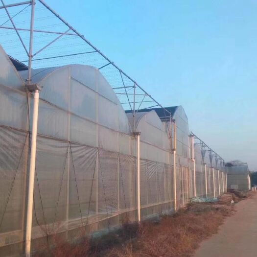 天津钢管大棚