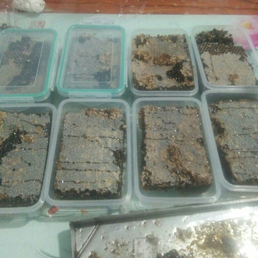临朐县巢蜜 盒装 1年   蜂巢蜜