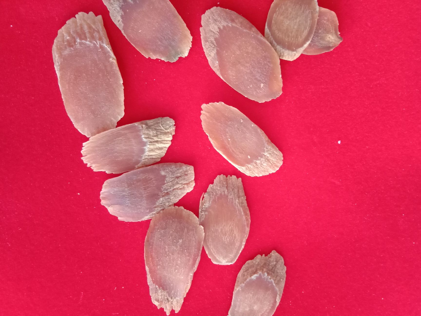 红参 片 袋装 
