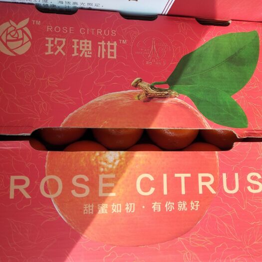 北京玫瑰香柑 7 - 7.5cm 4两以上 