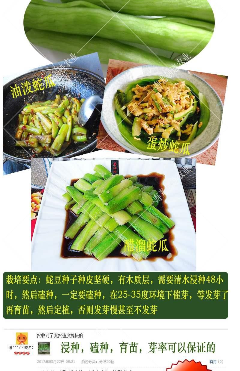 蛇瓜 特长蛇豆种子