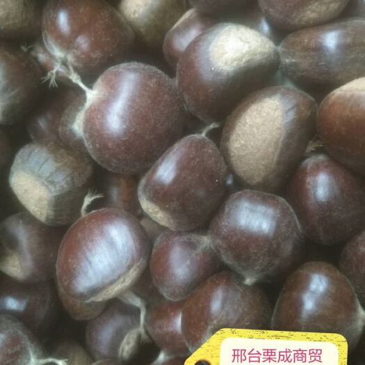 肥东县 合肥市板栗批发