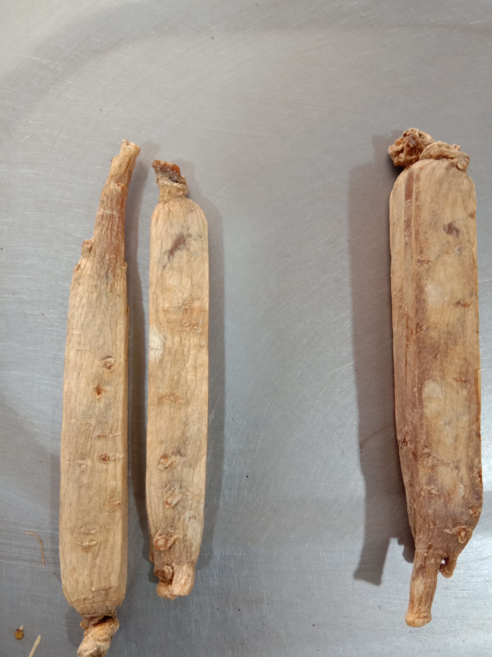 高丽参 正品