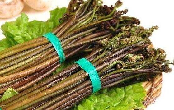 耒阳市野生蕨菜 鲜货 