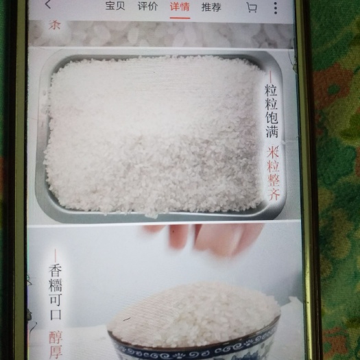 松原东北大米 一等品 晚稻 粳米 