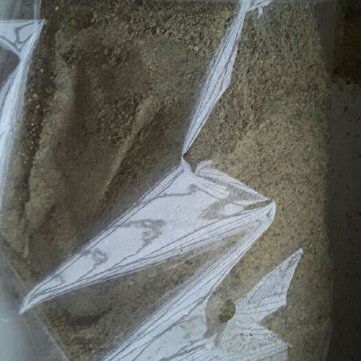 招远市蛋白质饲料 