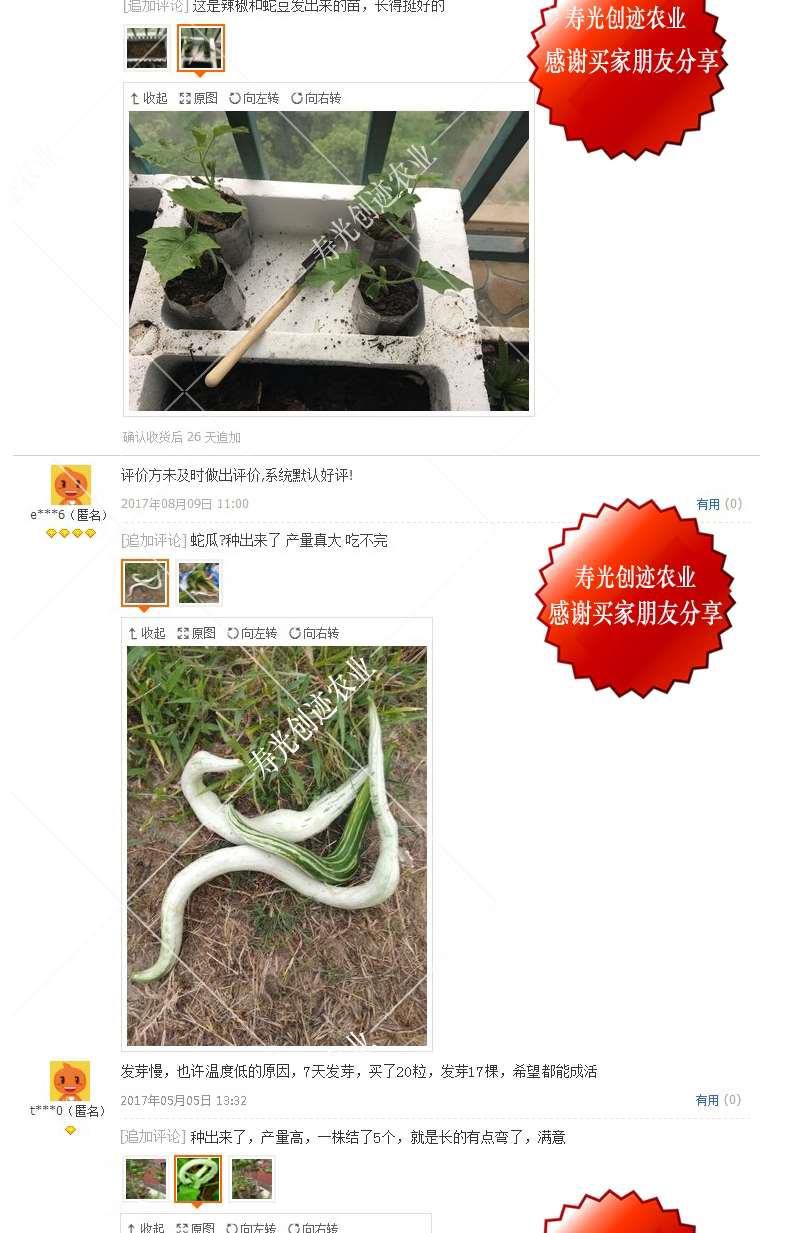 蛇瓜 特长蛇豆种子