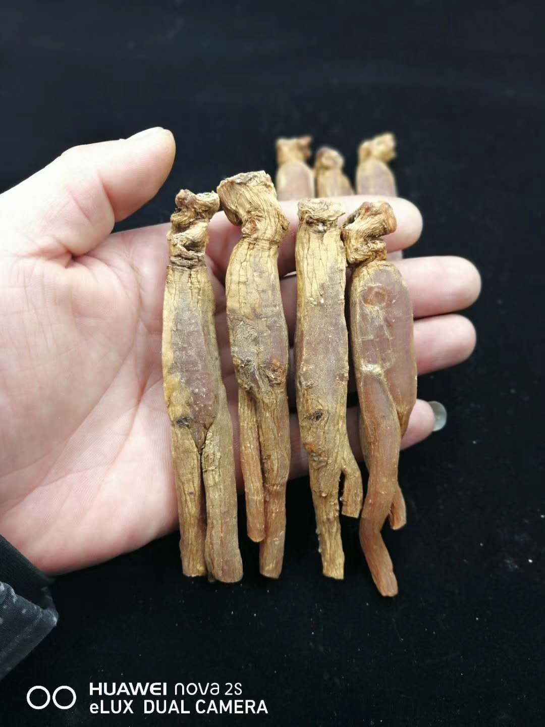 高丽参 正品
