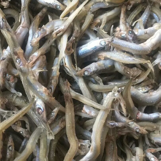 荣成市沙里钻鱼干 