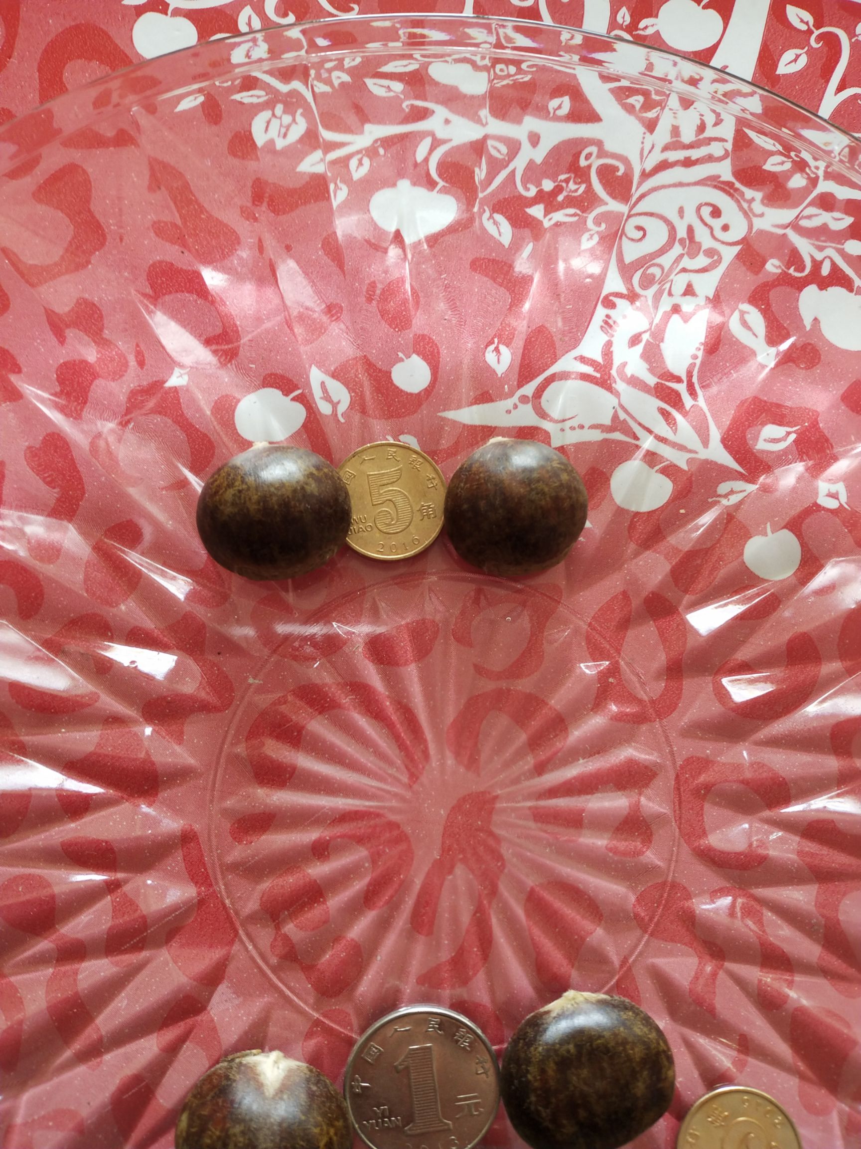 丹东板栗 油栗子适合糖炒