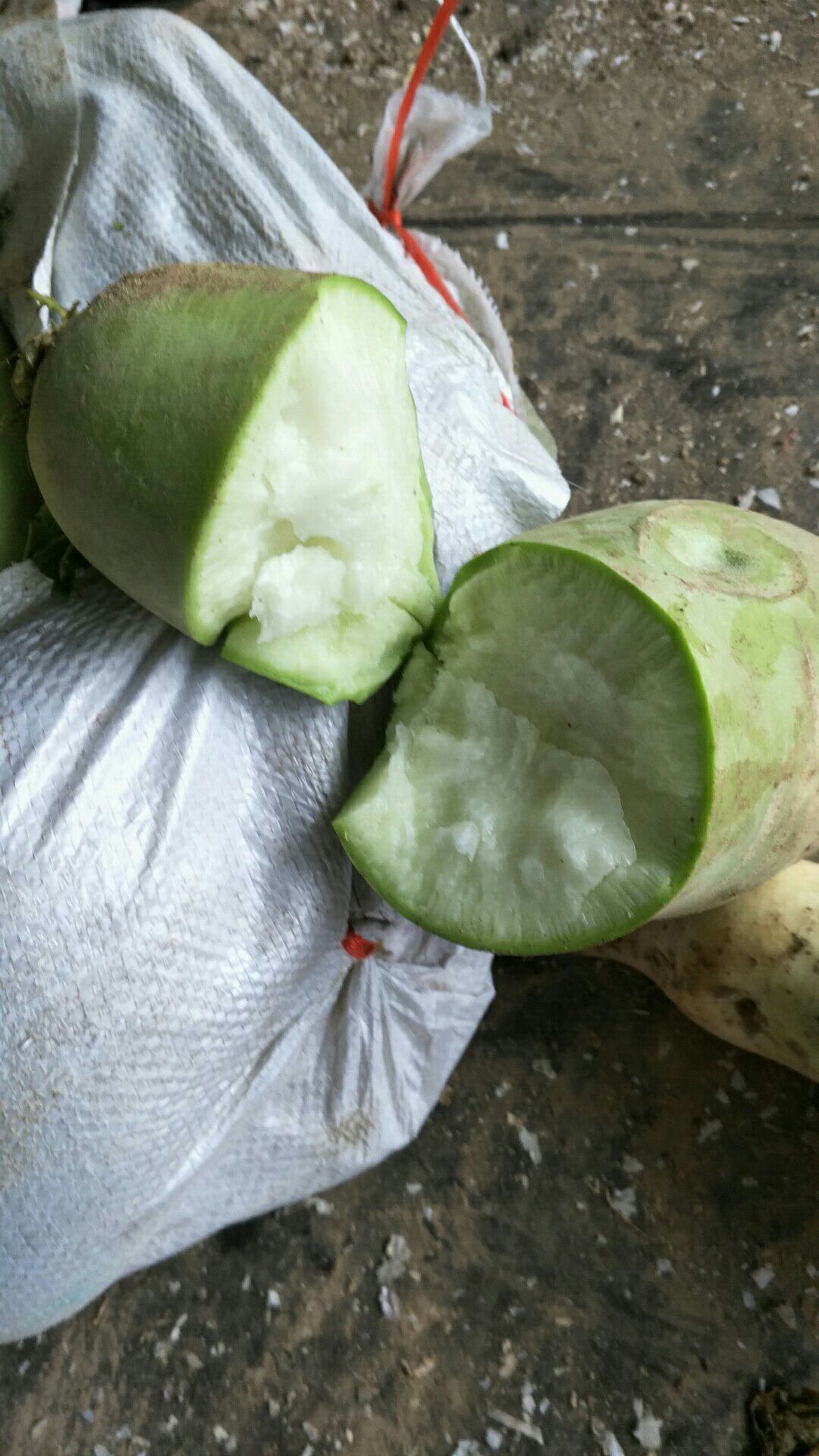 青萝卜 混装通货 