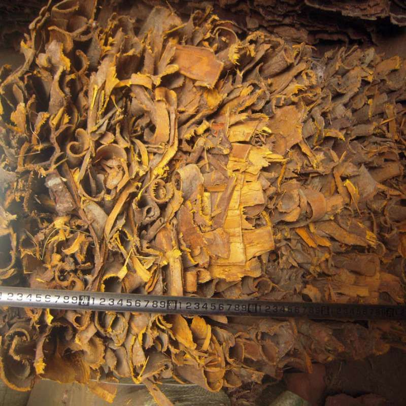 川黄柏  四川含量高黄柏带皮个子，颜色黄，药性好的黄柏皮