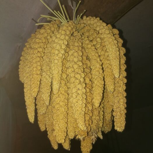 新乡豫谷18 