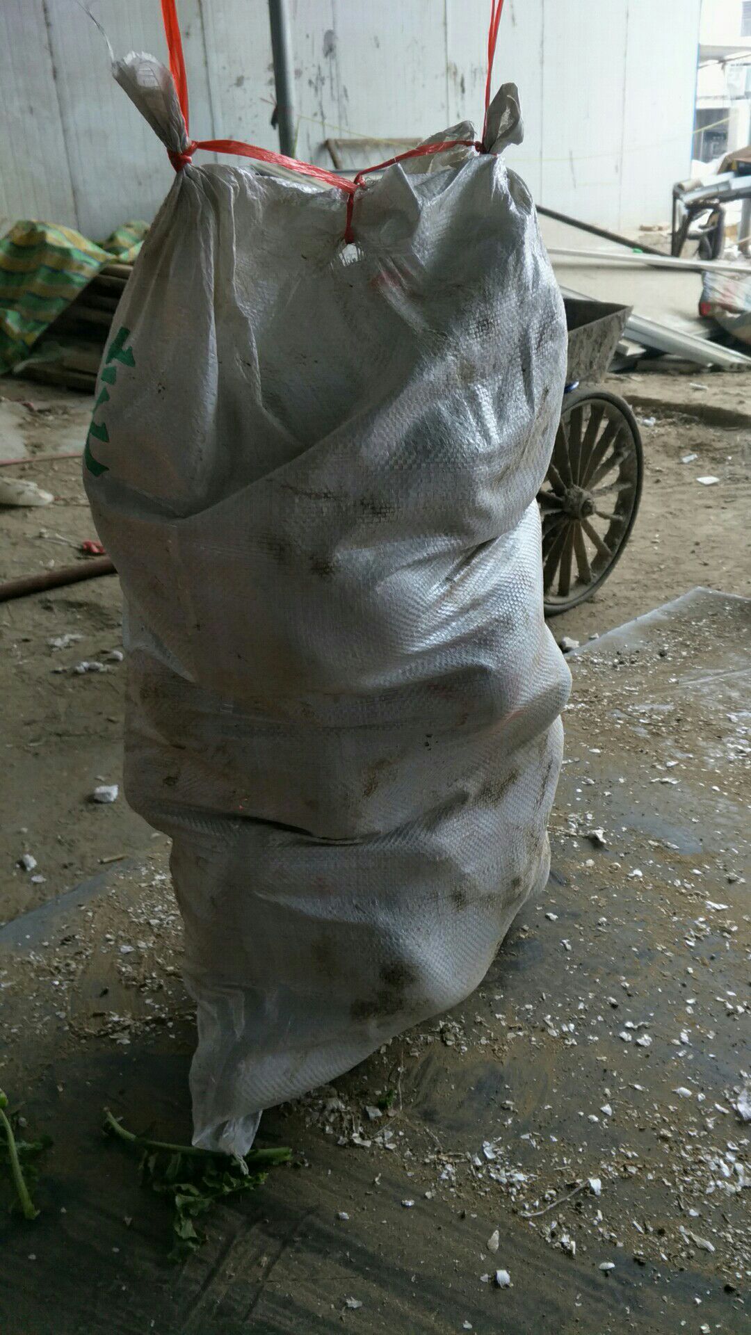 青萝卜 混装通货 