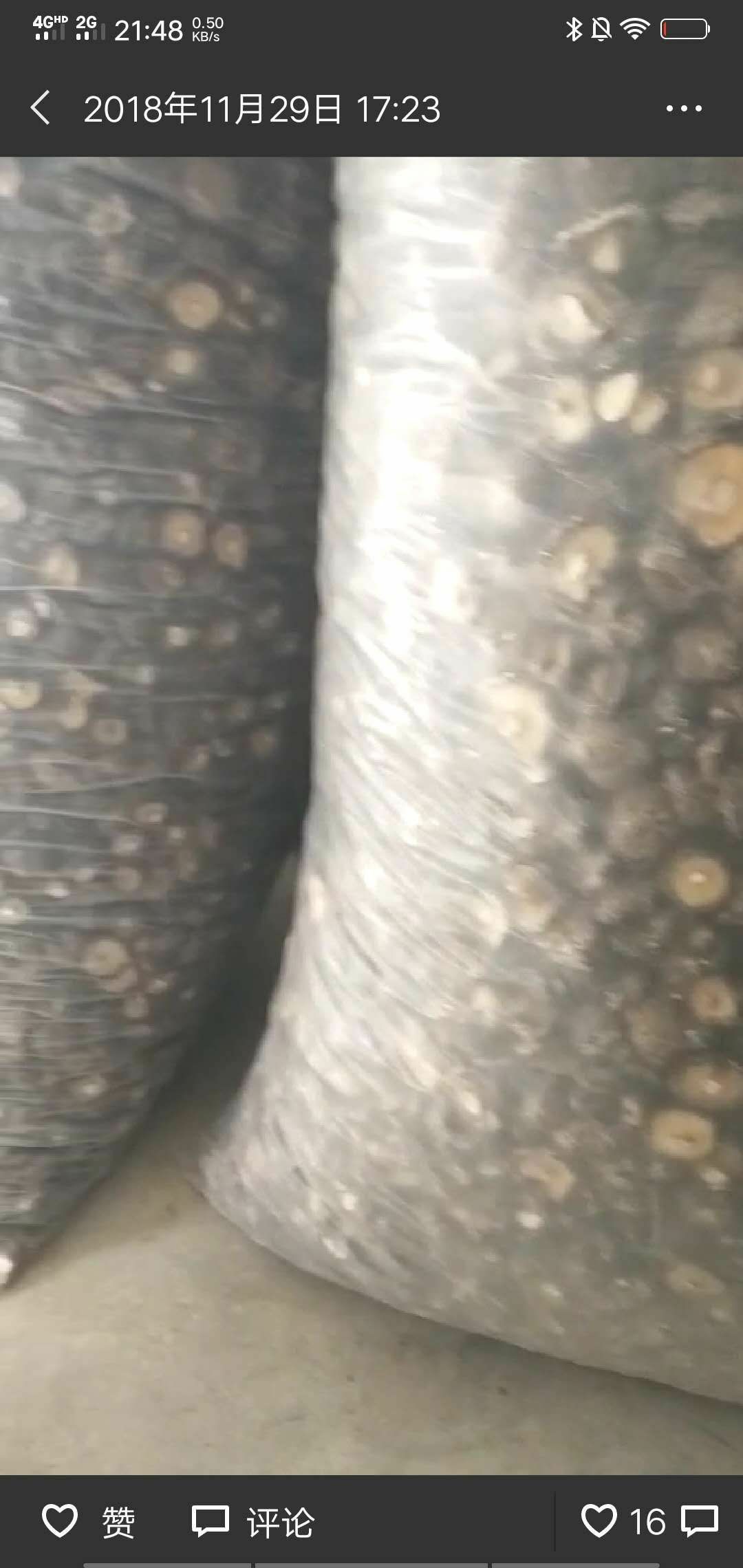 原木干香菇 散装 1年 