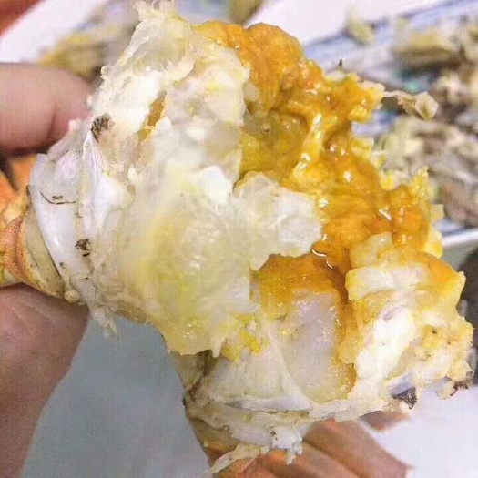 安新县高邮湖大闸蟹 母蟹 2.0-2.5两 