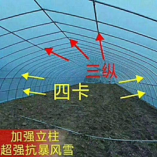 天津种植大棚 