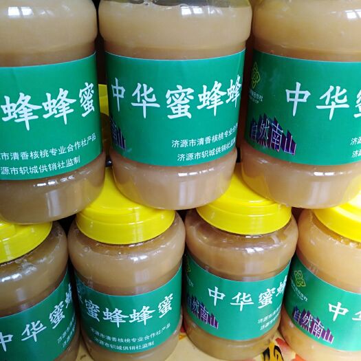 济源市 山区定地，果园授粉，无污染绿色，成熟蜂蜜
