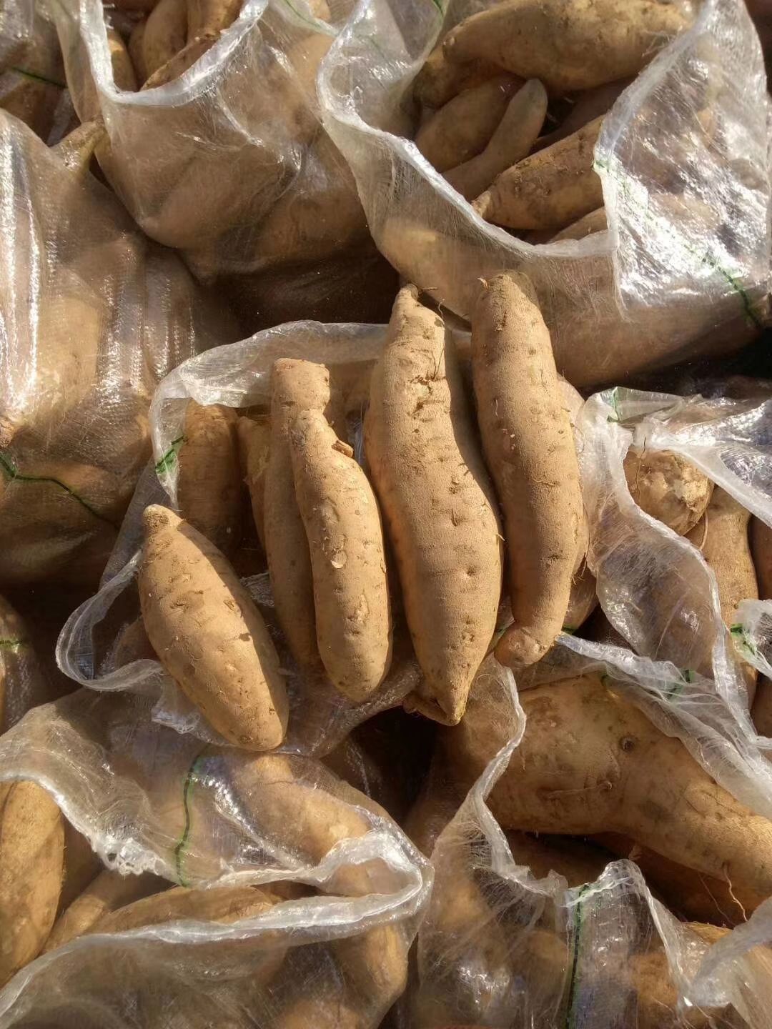 沂水县山东红薯产地一手货源充足 品种齐全 以手选货为主