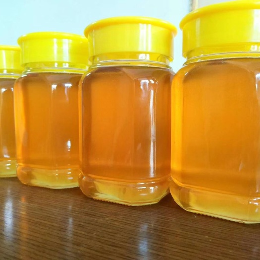 海口土蜂蜜 塑料瓶装 1年 95%以上 