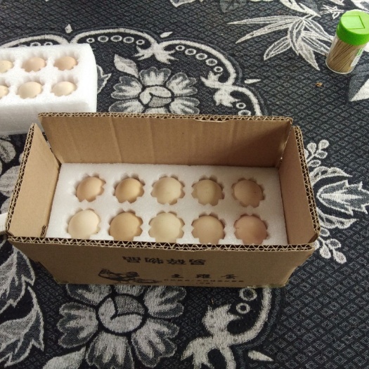 黔西市白蛋 斗鸡种蛋