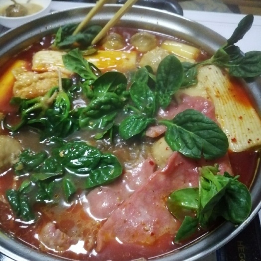 丰县圆叶菠菜 10cm以下 