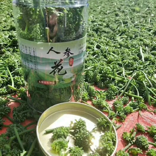 抚松县人参花茶 二级 罐装 