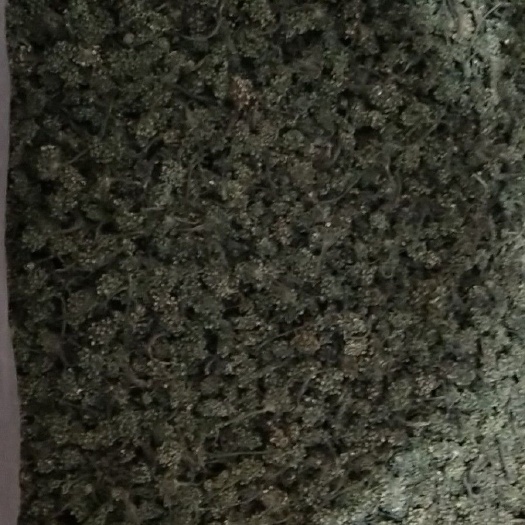 莒县长白山人参 全须生晒参 