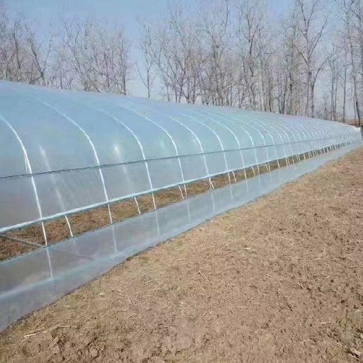 天津种植大棚 