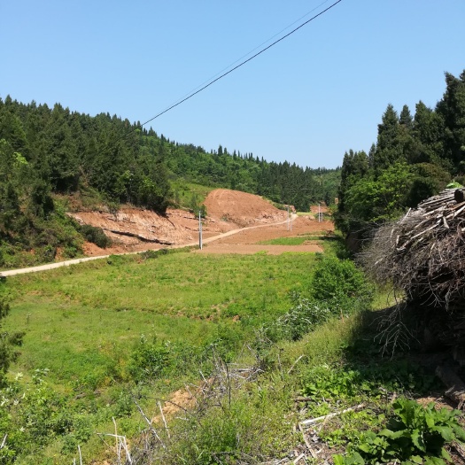 房县旱地 出租 5年以下 50亩以下 